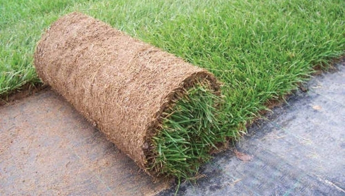 Stai cercando un giardiniere  Abbiategrasso  e comuni limitrofi? - Area Verde 